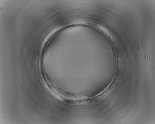 X0000076311331200610161609