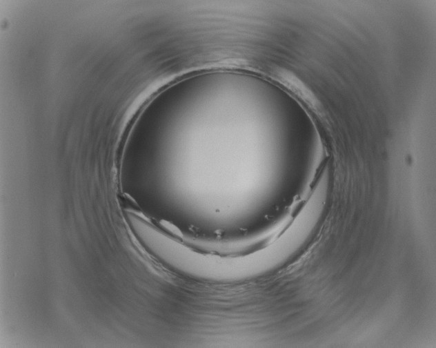 X0000076311332200610161609