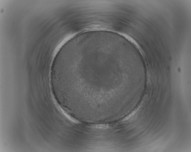 X0000076311333200610161609