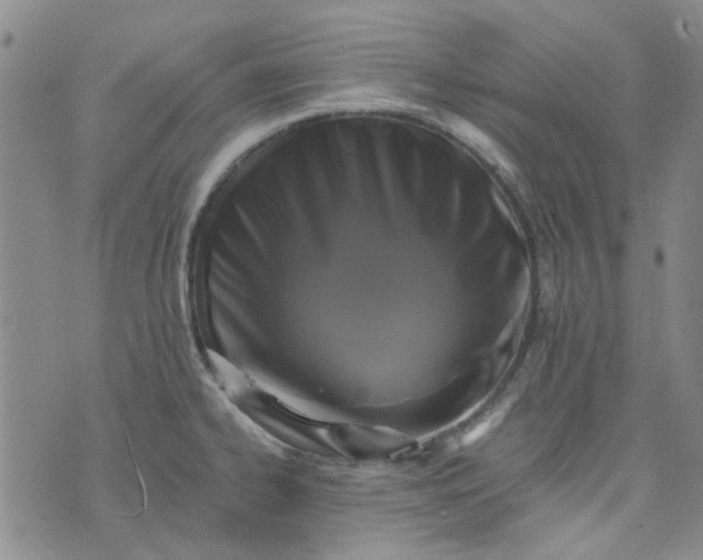 X0000076311334200610161609