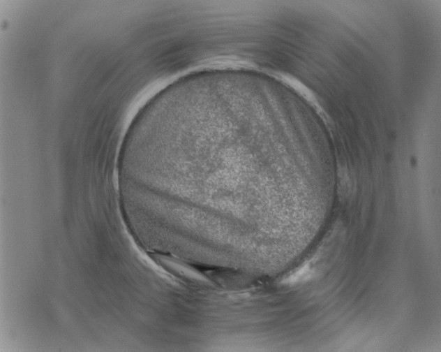 X0000076311335200610161609