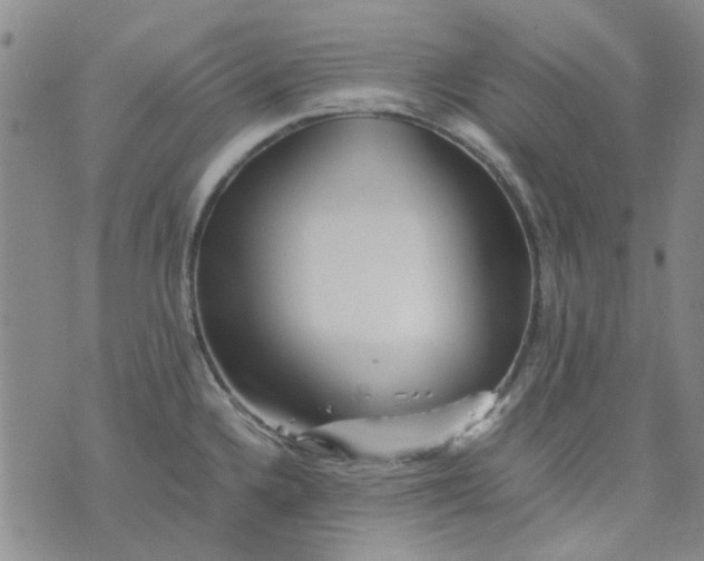 X0000076311336200610161609