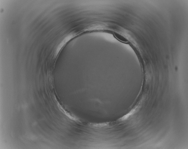 X0000076311337200610161609