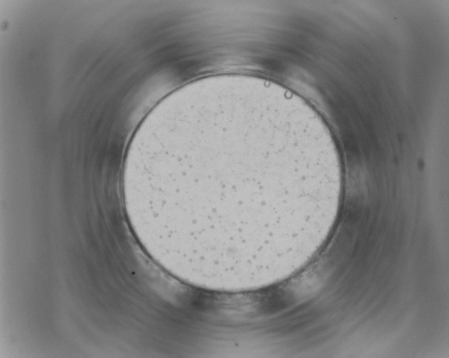 X0000076311338200610161609