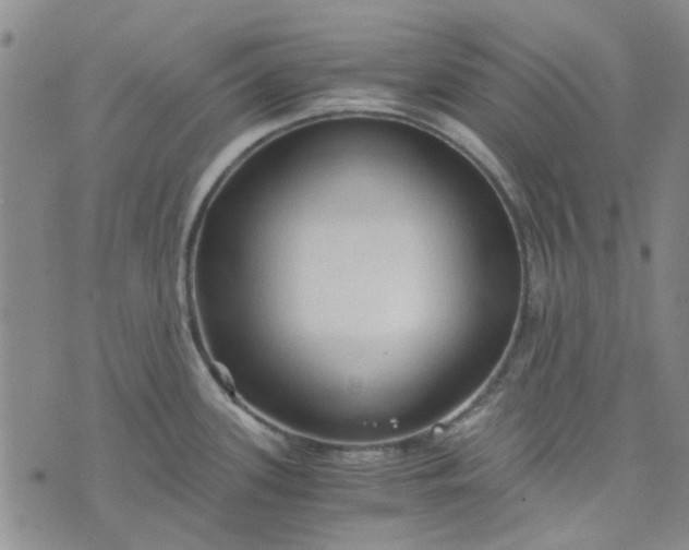 X0000076311339200610161609