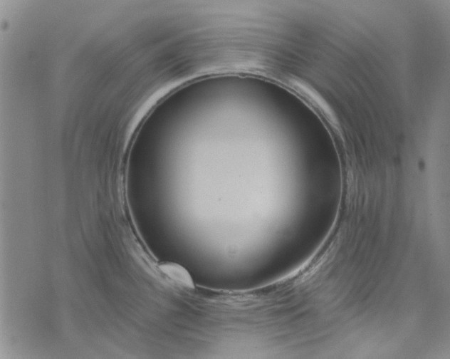 X0000076311340200610161609