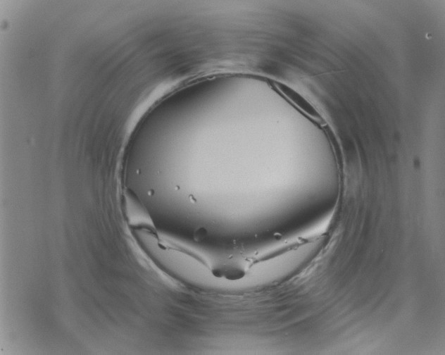 X0000076311341200610161609