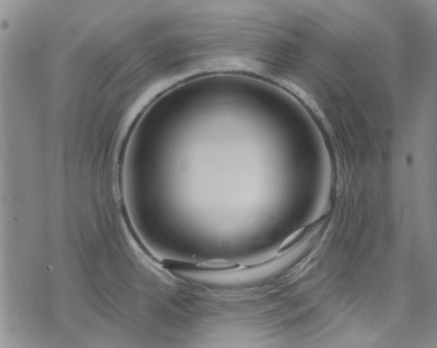 X0000076311342200610161609