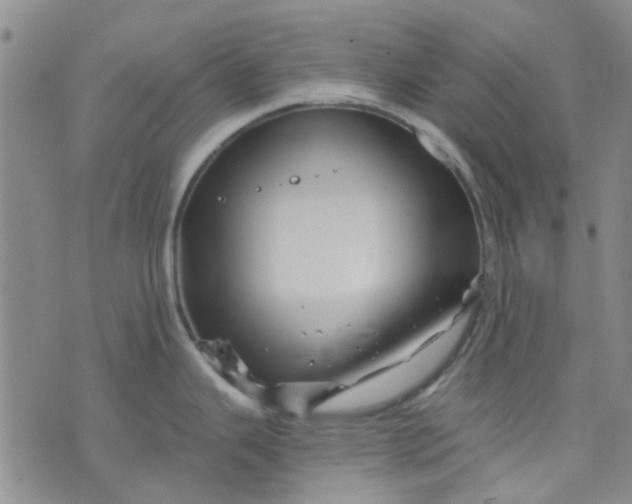 X0000076311343200610161609