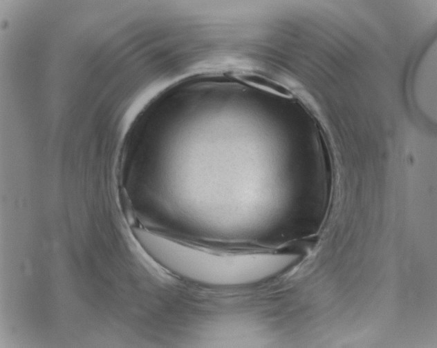 X0000076311344200610161609