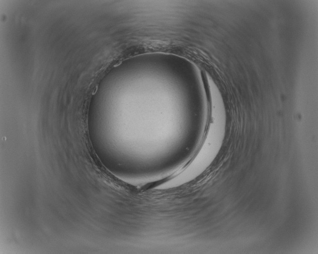 X0000076311345200610161608