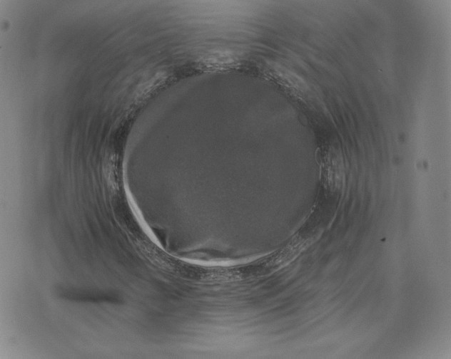 X0000076311346200610161608