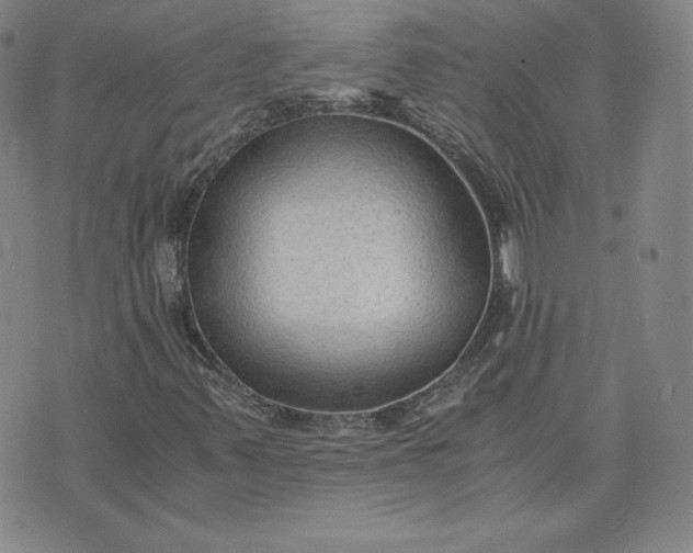 X0000076311347200610161608