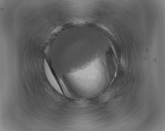 X0000076311348200610161608