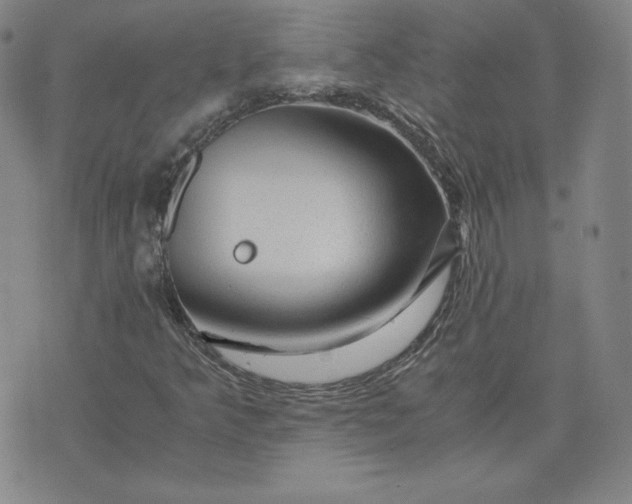 X0000076311349200610161608