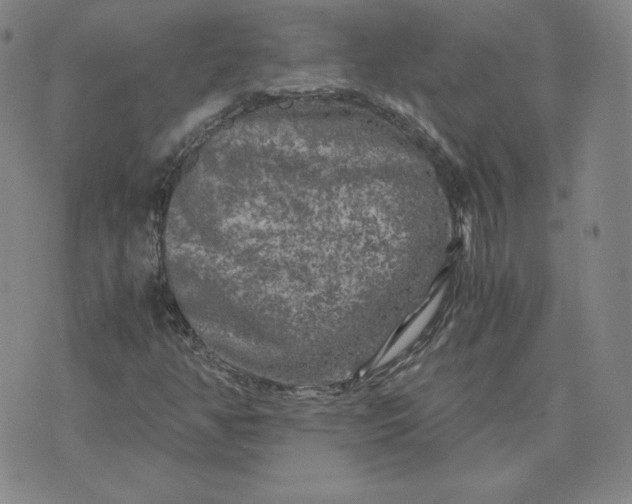 X0000076311350200610161608