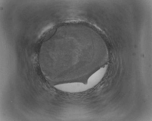 X0000076311351200610161608