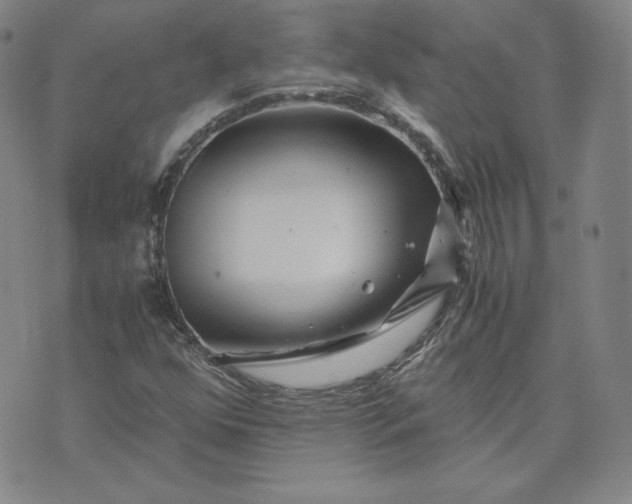 X0000076311352200610161608