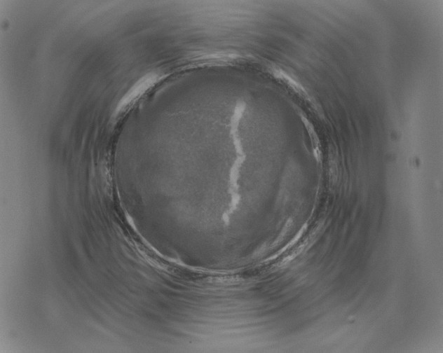 X0000076311354200610161608