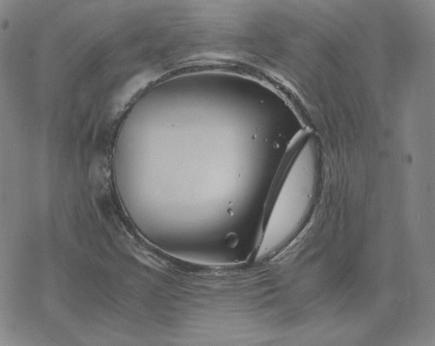 X0000076311355200610161608