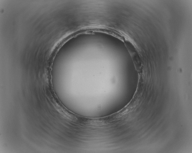 X0000076311356200610161608