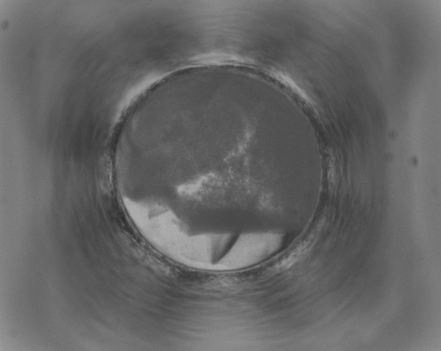 X0000076311358200610161608