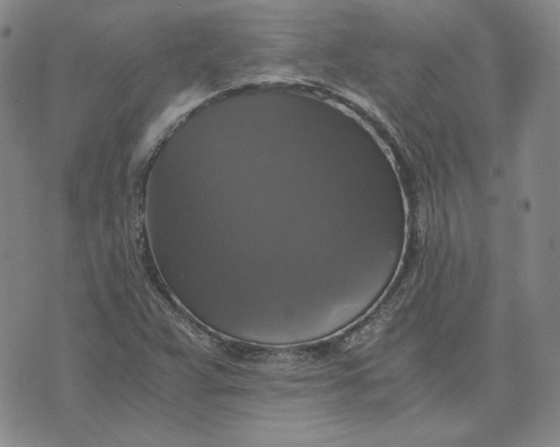 X0000076311359200610161608