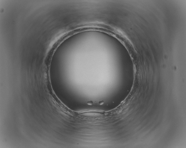 X0000076311360200610161608