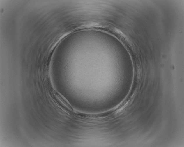 X0000076311361200610161608