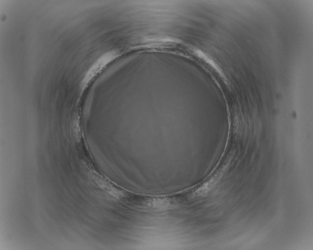 X0000076311362200610161608