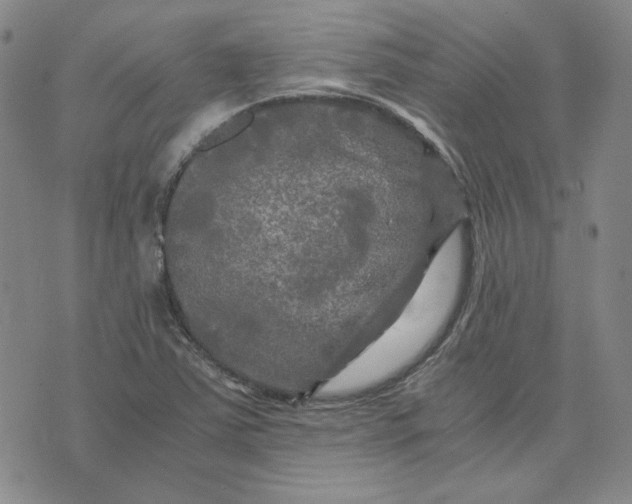 X0000076311363200610161608