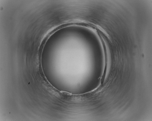 X0000076311364200610161608