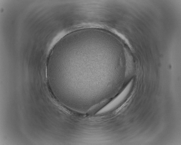 X0000076311365200610161608