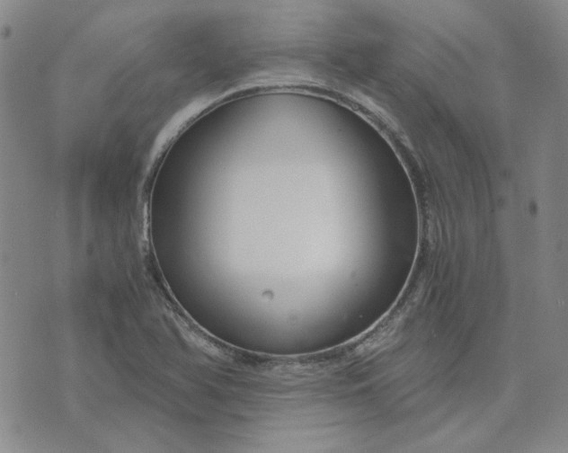 X0000076311366200610161608