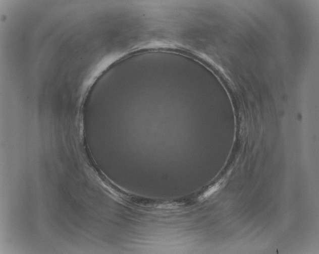 X0000076311367200610161608