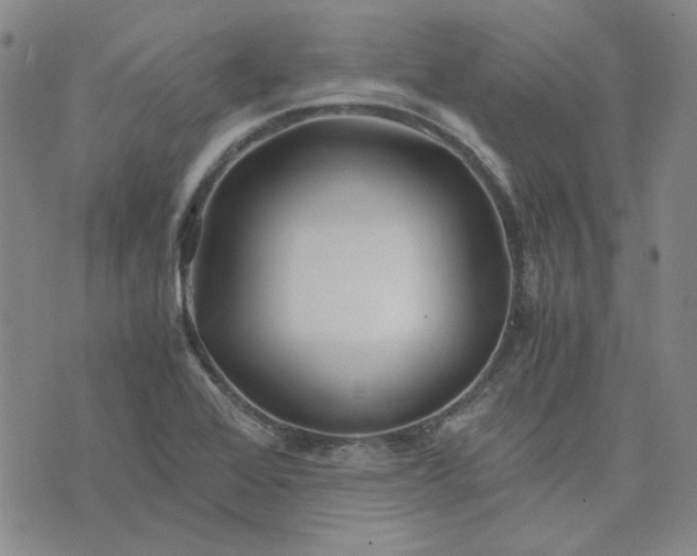 X0000076311368200610161608