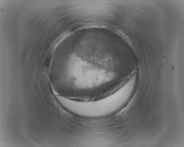 X0000076311369200610161608