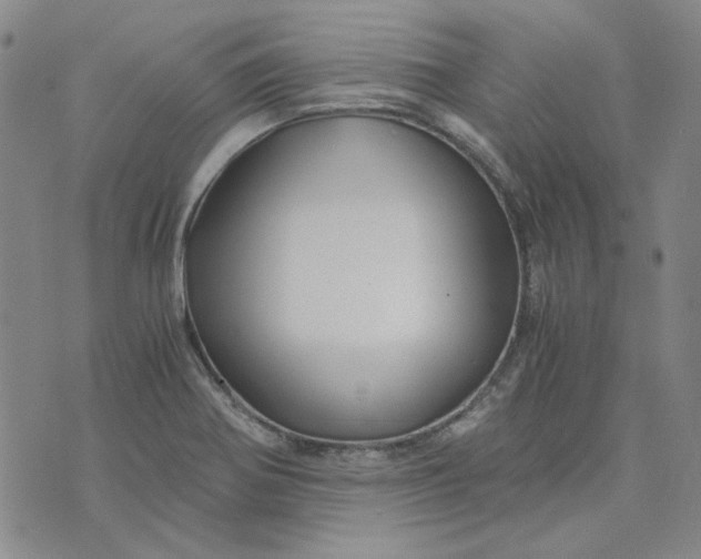 X0000076311370200610161608