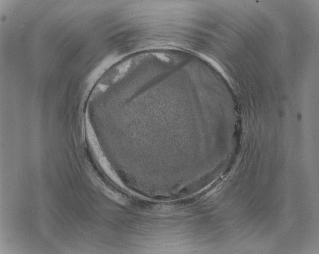 X0000076311371200610161608