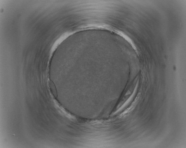 X0000076311373200610161608