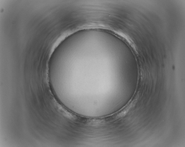 X0000076311374200610161608