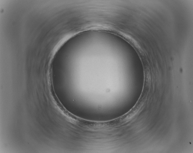 X0000076311375200610161608