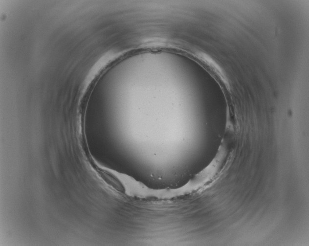 X0000076311376200610161608