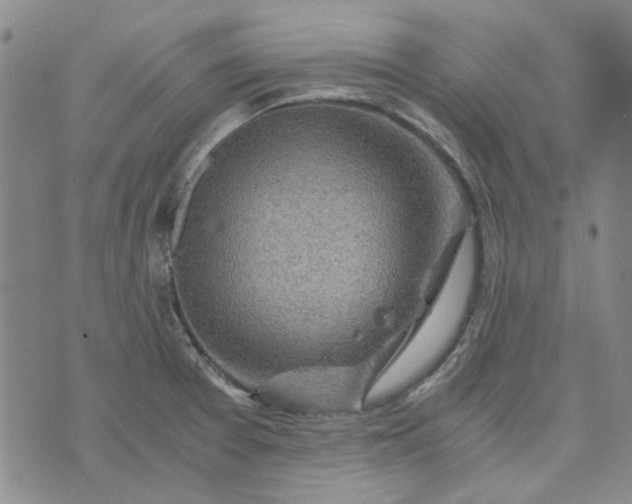 X0000076311377200610161608