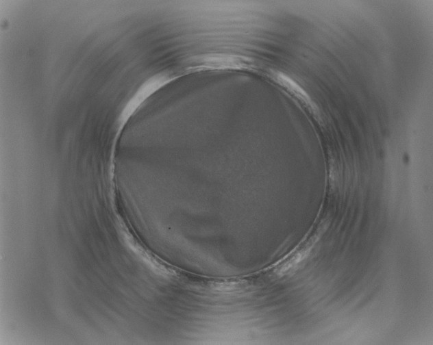 X0000076311378200610161608