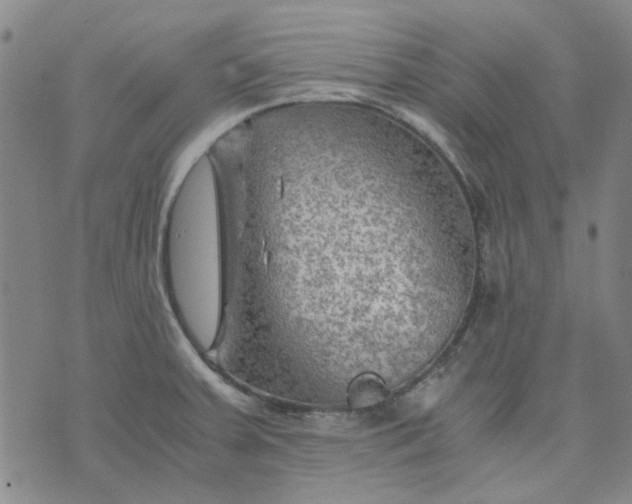 X0000076311379200610161608