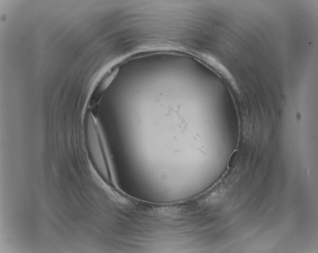 X0000076311380200610161608