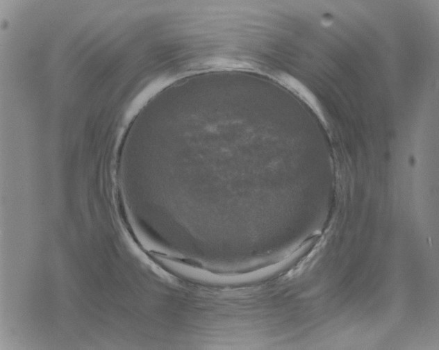 X0000076311381200610161608