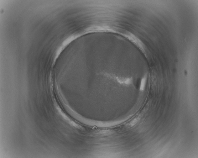 X0000076311382200610161608