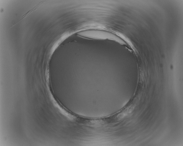 X0000076311383200610161608